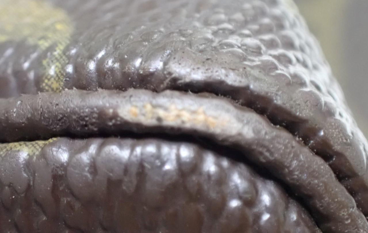 Louis Vuitton Trousse 26